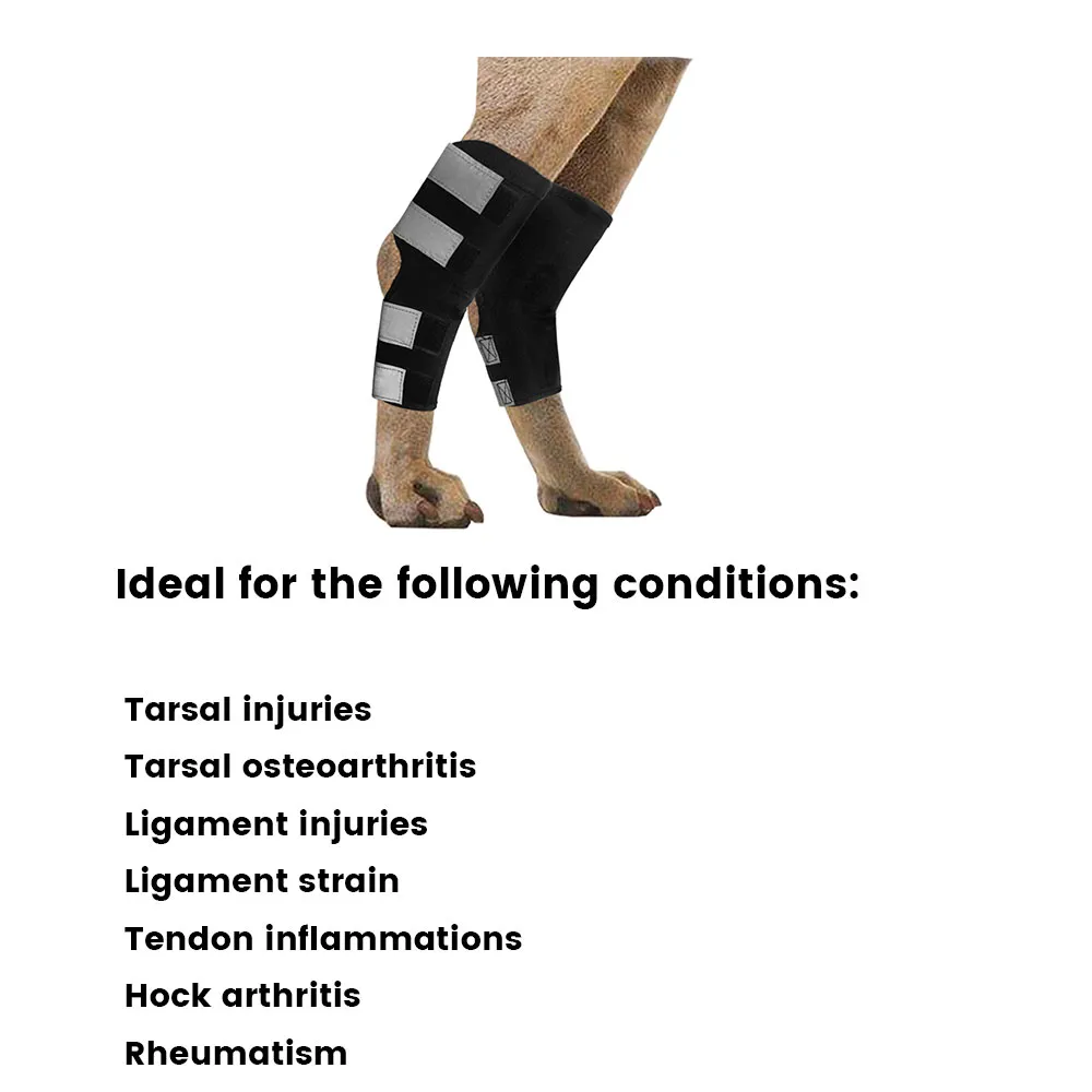 Best Dog Ankle Brace For Sale | LOVEPLUSPET