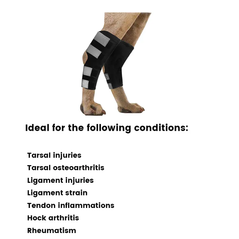 Best Dog Ankle Brace For Sale | LOVEPLUSPET