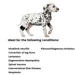 Best Dog Hock Joint Brace For Sale | LOVEPLUSPET