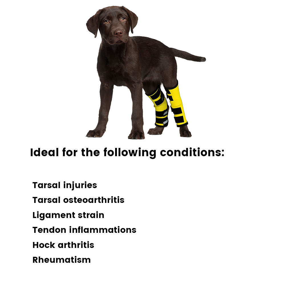 Best Dog Rear Leg Hock Brace For Sale | LOVEPLUSPET