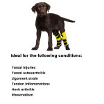 Best Dog Rear Leg Hock Brace For Sale | LOVEPLUSPET