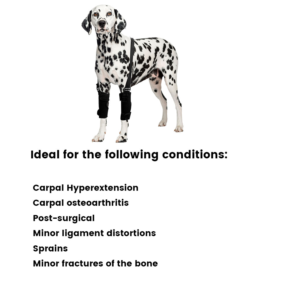 Best Dog Wrist Support For Arthritis For Sale | LOVEPLUSPET