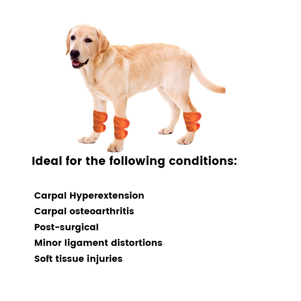 Best Wrist & Carpal Wrap For Dogs For Sale | Lovepluspet