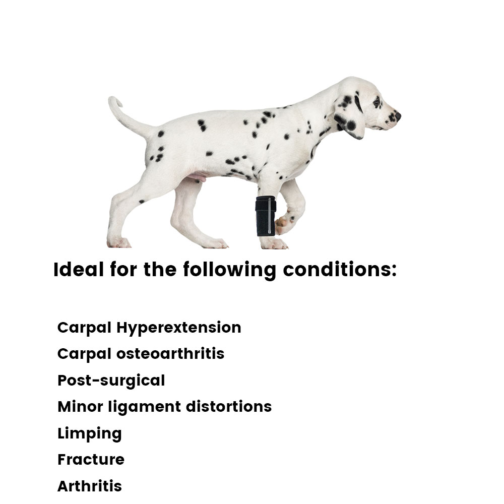 Best Carpal Brace For Dogs For Sale | LOVEPLUSPET