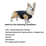 Best Back Brace For Dogs With IVDD For Sale | Lovepluspet