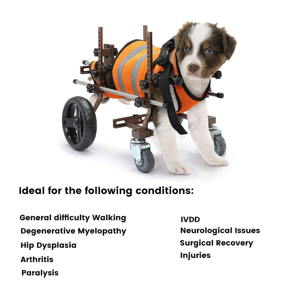 Full Support Wheelchair for Small Dogs