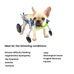 Best Quad Wheelchair for Small Dogs | LOVEPLUSPET