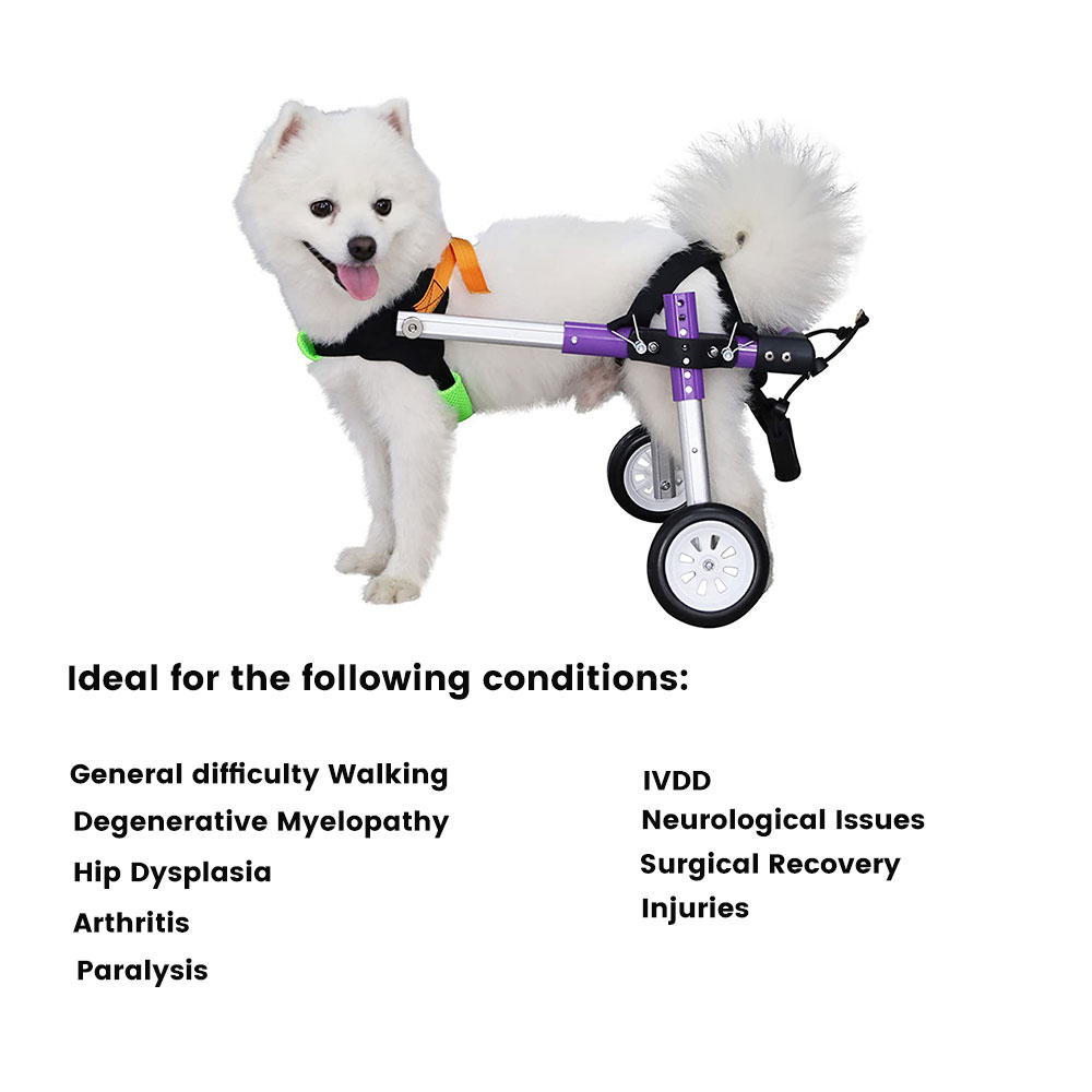 Best Little Dog Rear Wheelchair For Sale | LOVEPLUSPET