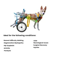 Best Medium & Large Dog Wheelchair for Back Legs | LOVEPLUSPET