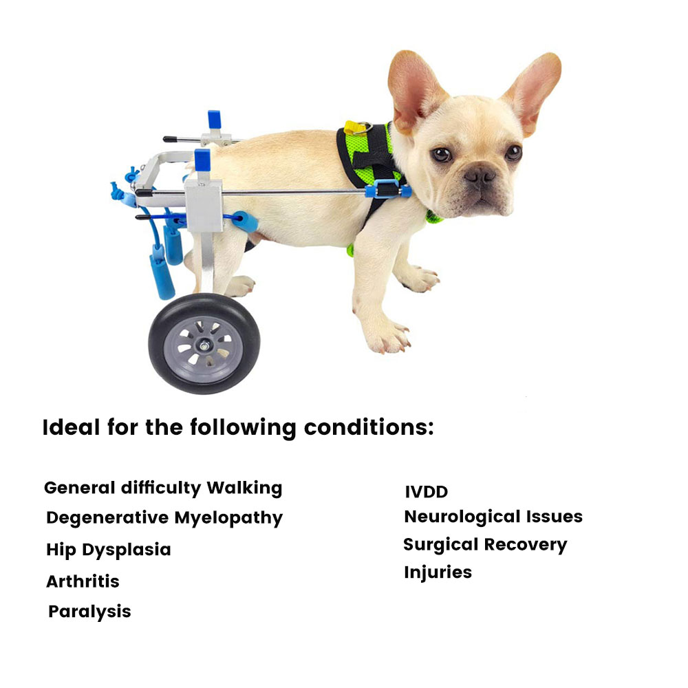 Best Small Dog Wheels for Hind Legs | LOVEPLUSPET