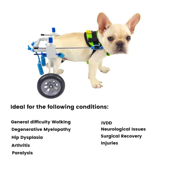Best Small Dog Wheels for Hind Legs | LOVEPLUSPET