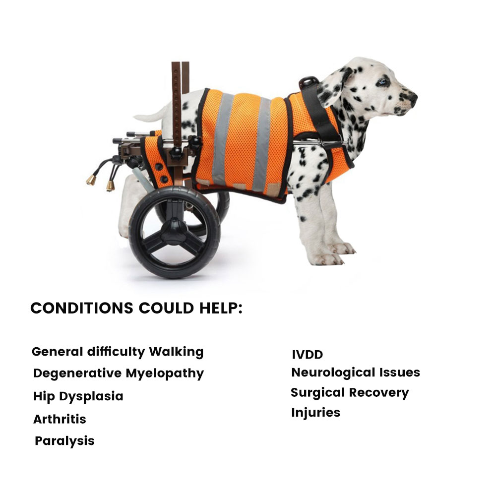 Best Small Rear Support Dog Wheelchair For Sale | LOVEPLUSPET