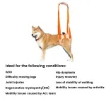 Best Back Leg Dog Harness For Sale | LOVEPLUSPET