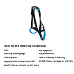 Best Dog Rear Harness with Handle for Lifting for Sale | LOVEPLUSPET