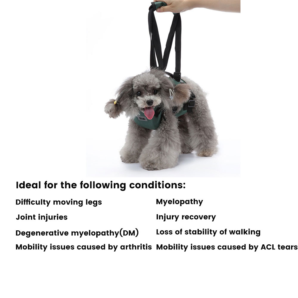 Best Dog Support Harness Front Legs For Sale | LOVEPLUSPET