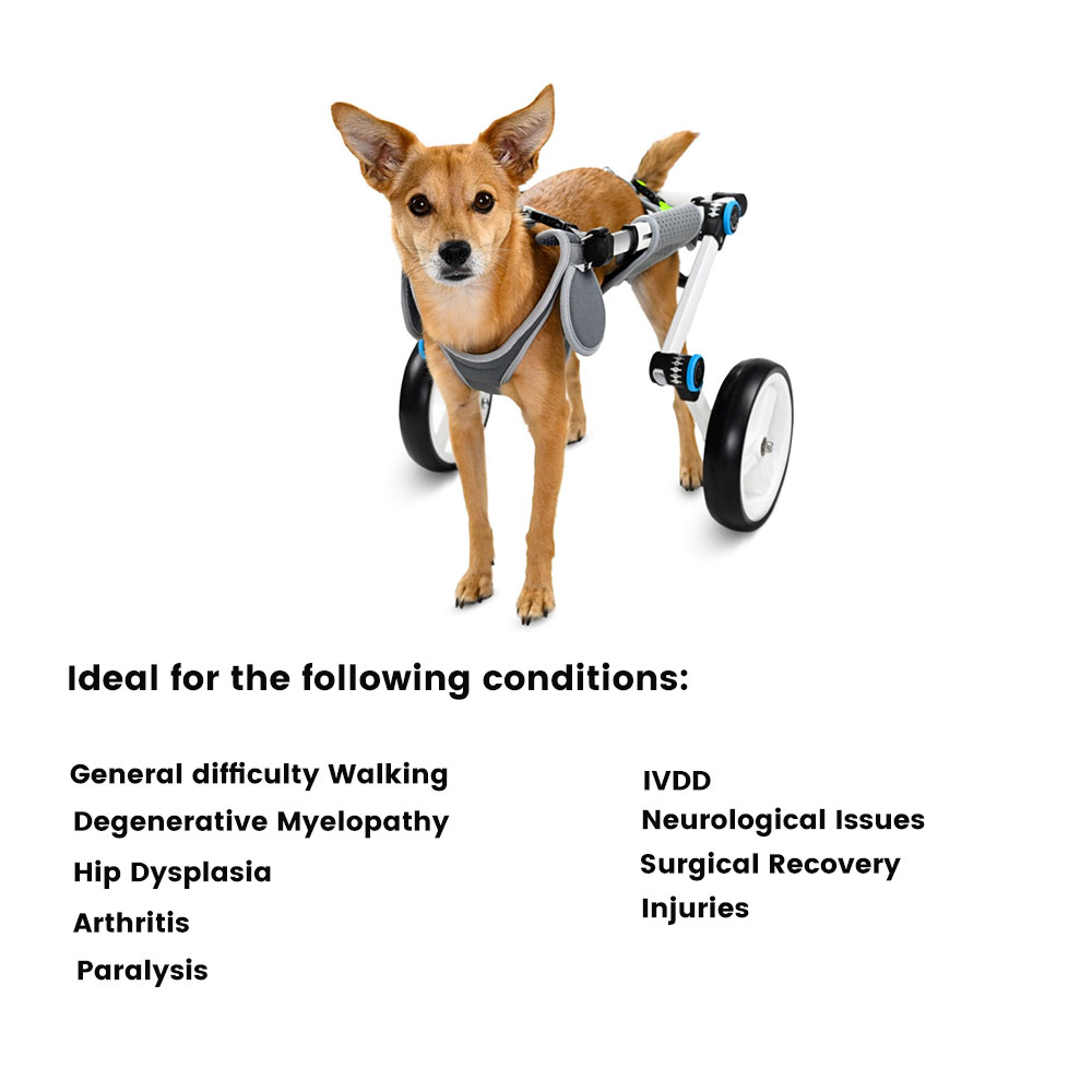 Best Paralyzed Large Dog Wheelchair for Back Legs | LOVEPLUSPET