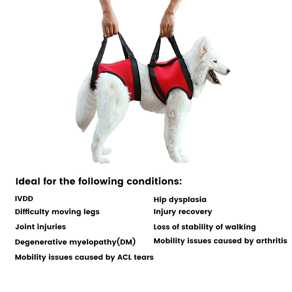 Best Full Body Dog Mobility Lifting Harness For Sale | LOVEPLUSPET