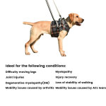 Best Dog Lift Harness & Sling for Dog Front Leg For Sale | LOVEPLUSPET