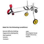 Best Medium & Large Dog Rear Leg Wheelchair For Sale | LOVEPLUSPET