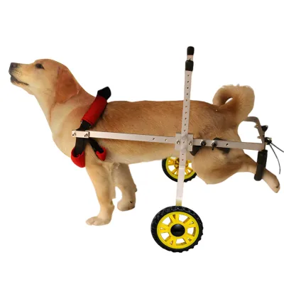 Medium / Large Dog Rear Leg Wheelchair 01