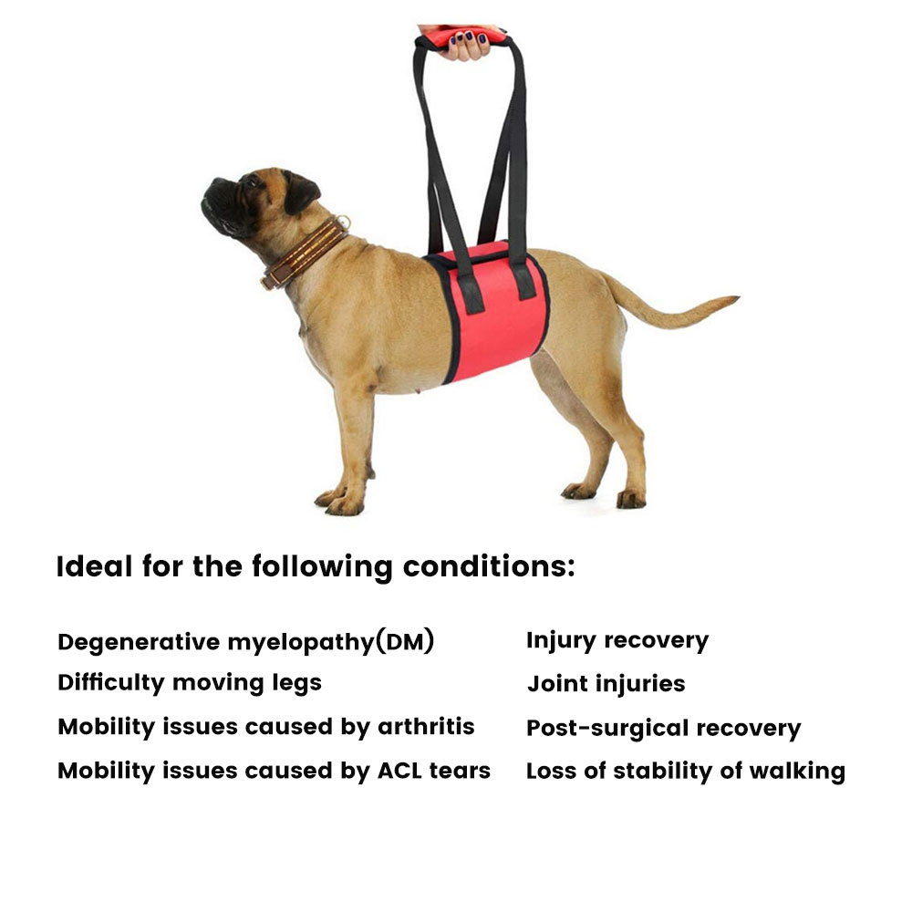 Best Dog Support Sling For Sale | LOVEPLUSPET