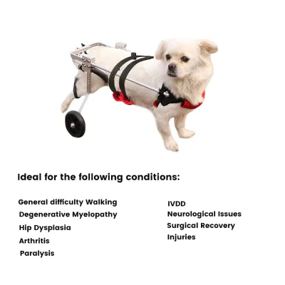 Best Small & Medium Dog Hind Leg Wheelchair For Sale | LOVEPLUSPET