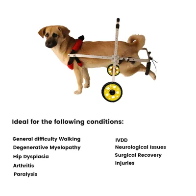 Best Small Dog Wheelchair for Back Legs | LOVEPLUSPET