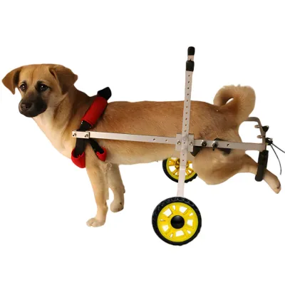 Small Dog Wheelchair for Back Legs 01