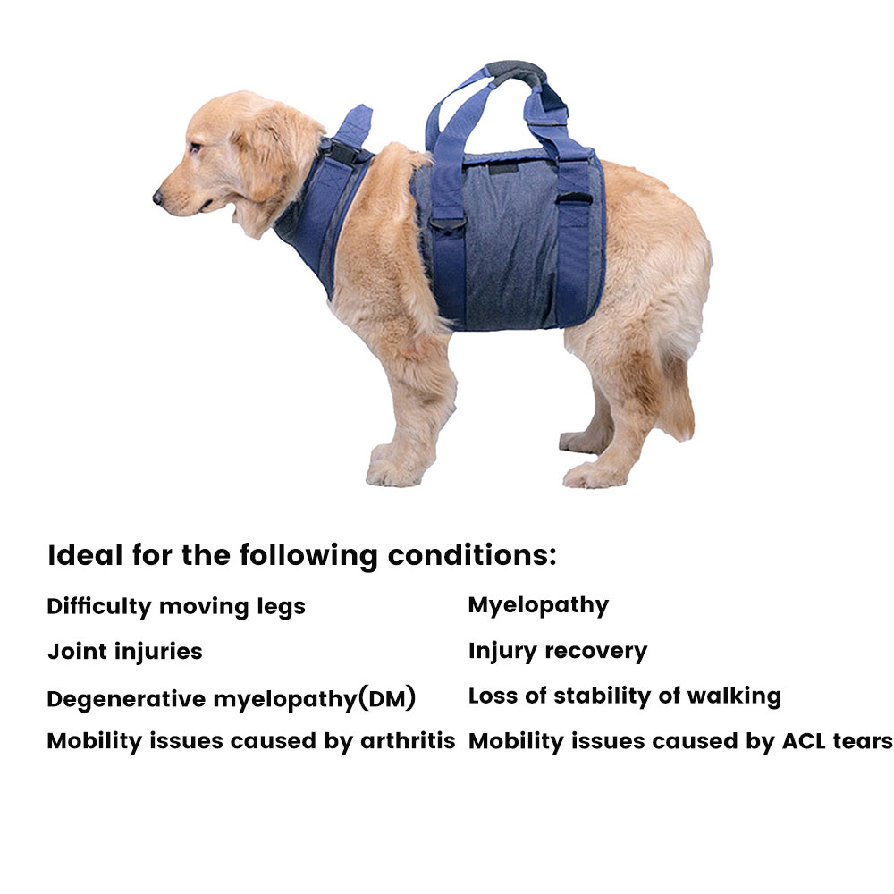 Best Full Body Dog Lifting Harnesses For Sale | LOVEPLUSPET
