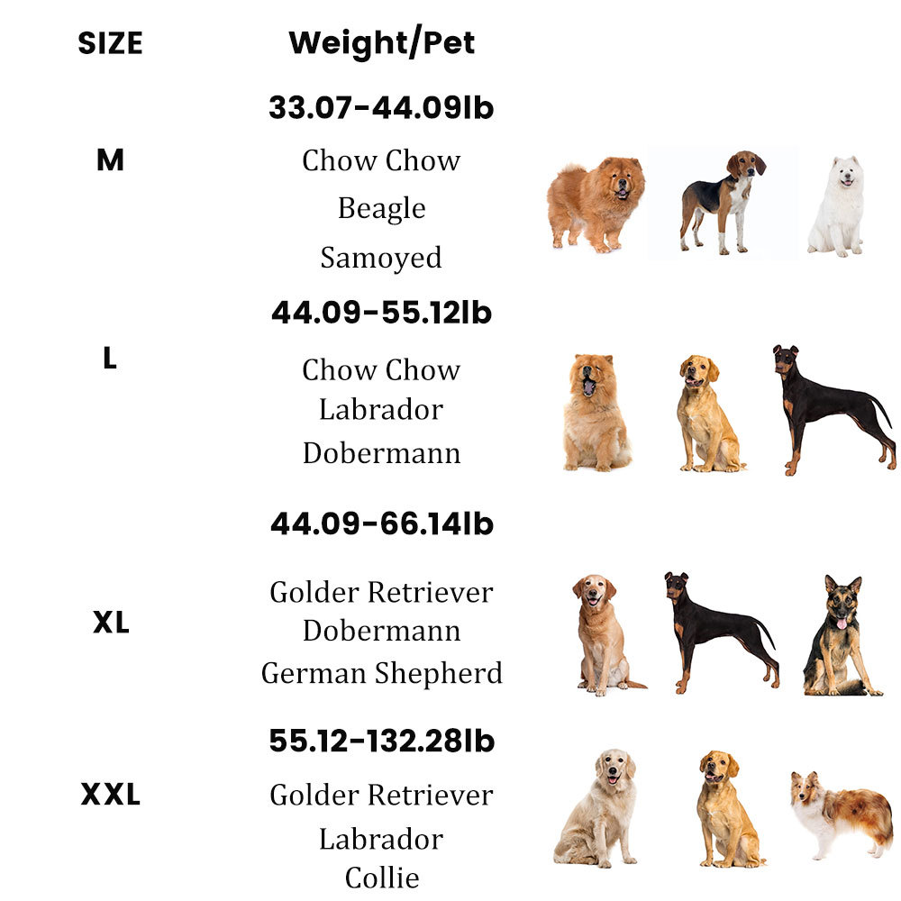 Best Medium & Large Dog Rear Leg Wheelchair For Sale | LOVEPLUSPET