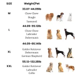 Best Medium & Large Dog Rear Leg Wheelchair For Sale | LOVEPLUSPET