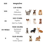 Best Small Dog Wheelchair for Back Legs | LOVEPLUSPET