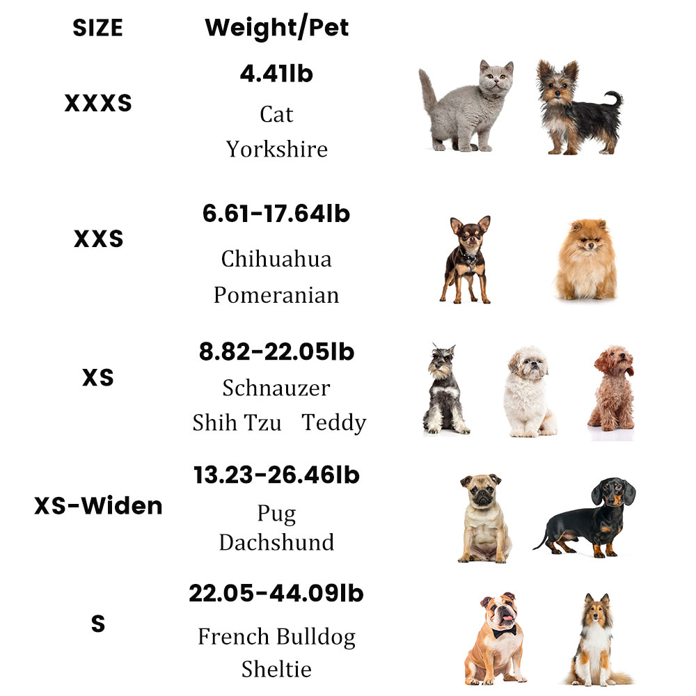 Best Small Dog Wheels for Hind Legs | LOVEPLUSPET