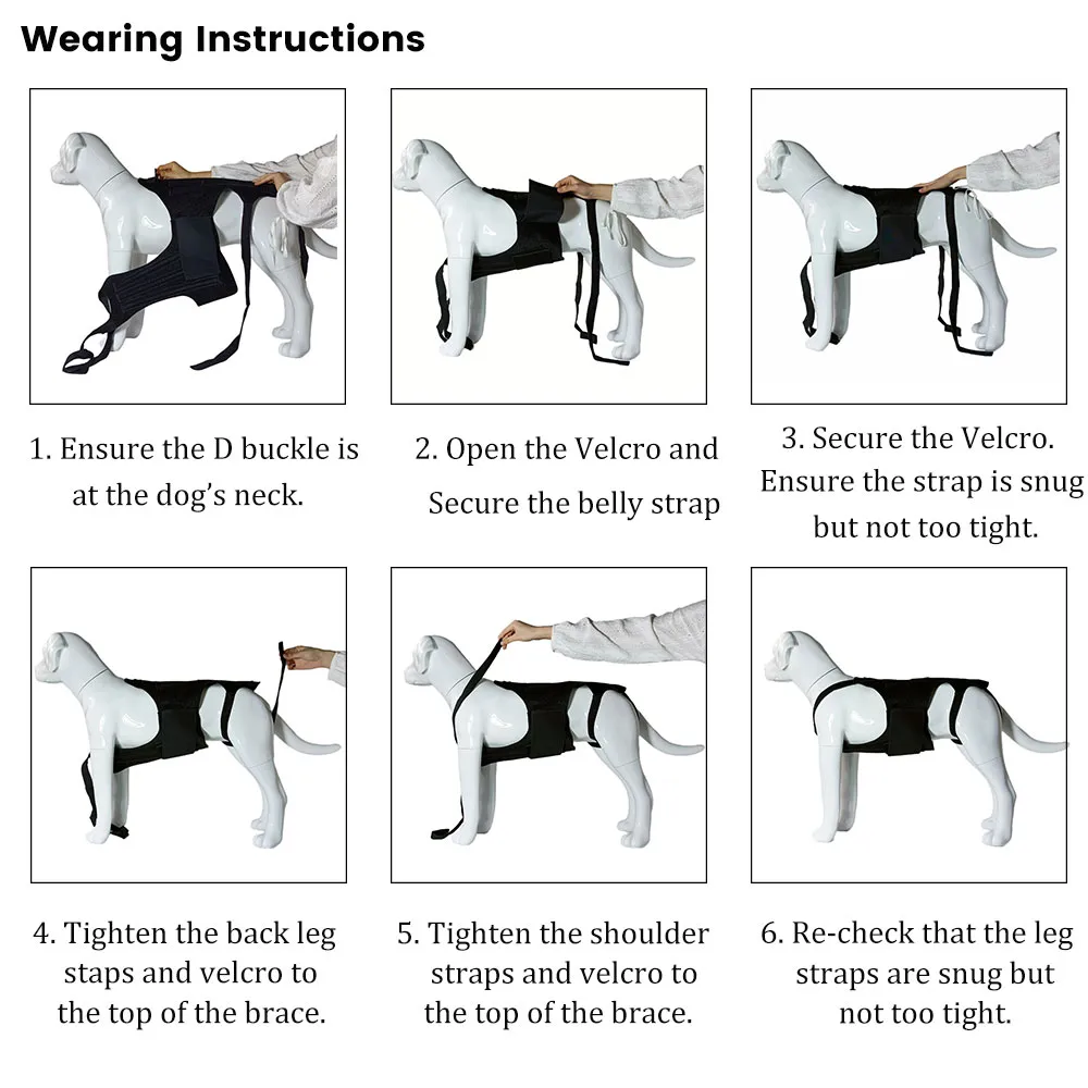 Best IVDD Back Brace For Dogs For Sale | Lovepluspet