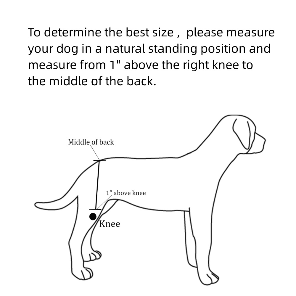 Best Dog Hip Dysplasia Support Brace For Sale LOVEPLUSPET