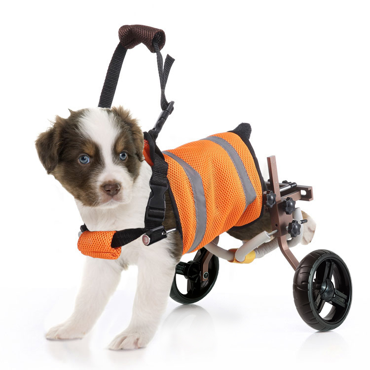 Syosin Adjustable Dog shops Wheelchair 6-45lbs