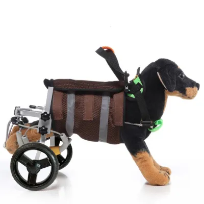 Best Small Dog Wheelchair & Scooter for back legs | LOVEPLUSPET