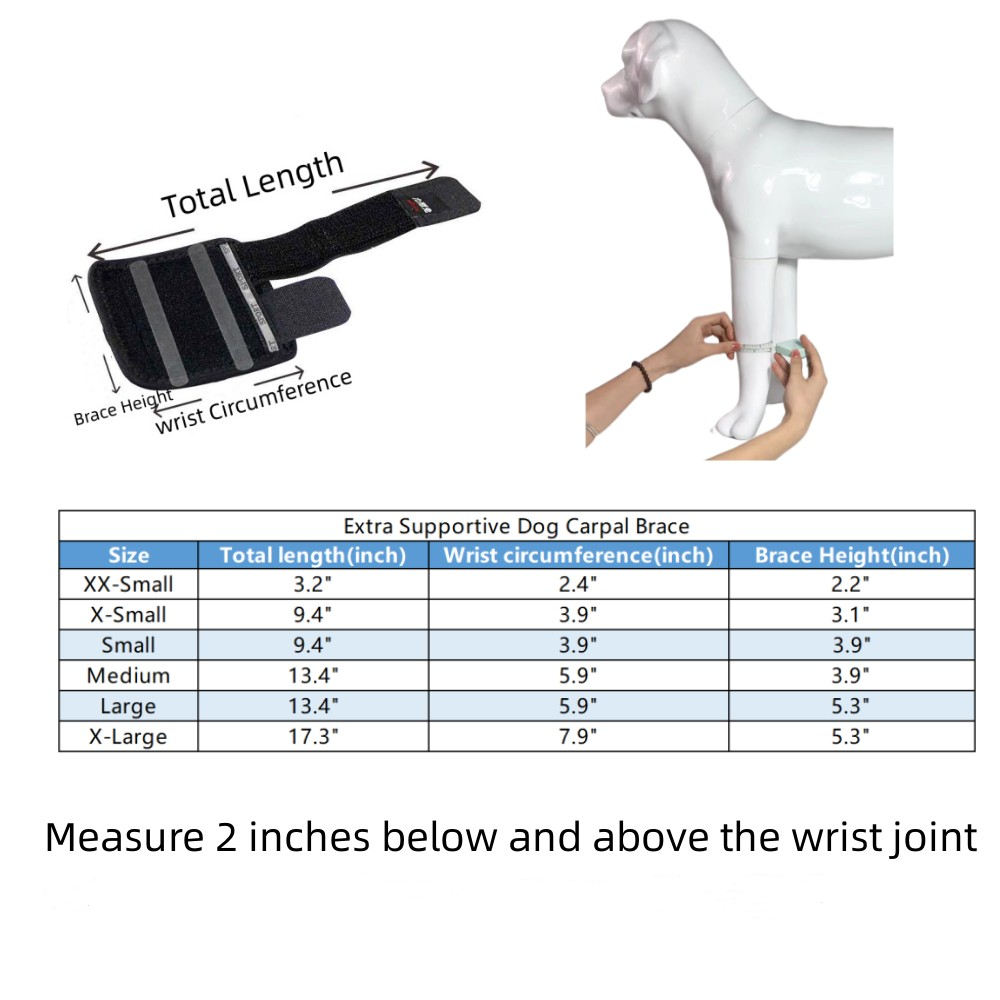 Best Carpal Brace For Dogs For Sale | LOVEPLUSPET