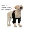 Best Dog Shoulder Brace For Front Support | LOVEPLUSPET