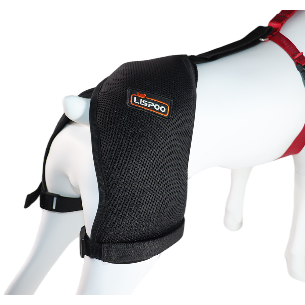 Best Dog Hip Dysplasia Support Brace For Sale LOVEPLUSPET