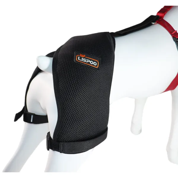 Dog Hip Dysplasia Brace