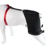 Dog Hip Dysplasia Brace