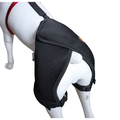 Dog Hip Dysplasia Brace