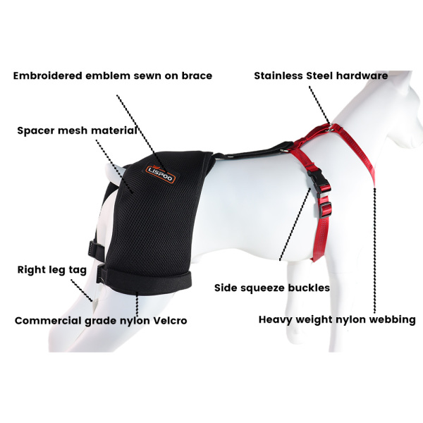 Best Dog Hip Dysplasia Brace For Sale LOVEPLUSPET
