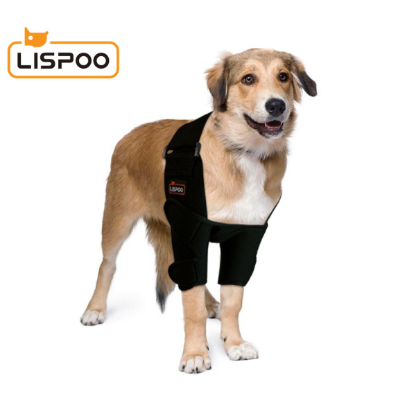 Best Dog Elbow & Shoulder Brace For Front Support LOVEPLUSPET