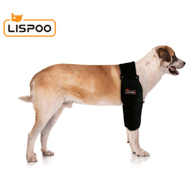 Dog Double Elbow & Shoulder Brace