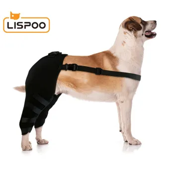 Dog Knee Support Brace