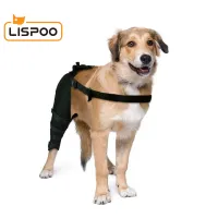 Dog Knee Support Brace