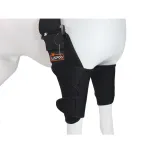 Best Dog Shoulder Brace For Front Support | LOVEPLUSPET