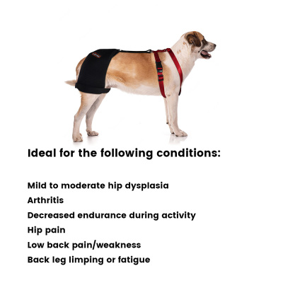 Dog Hip Dysplasia Brace